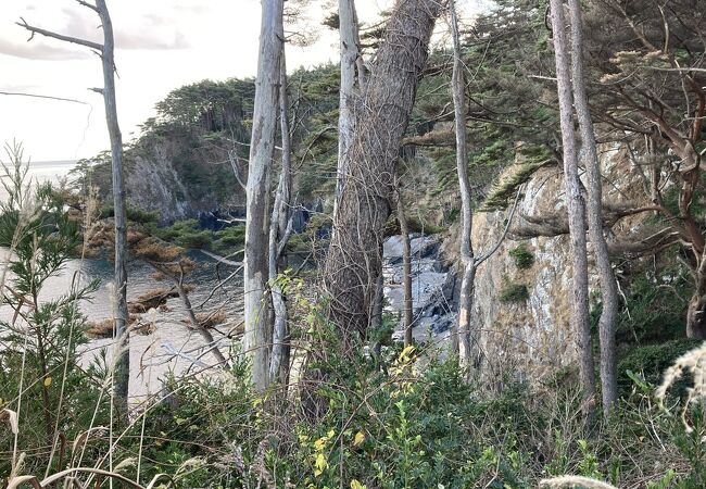 ごつごつとしたリアス海岸が続く