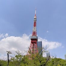 東京タワー