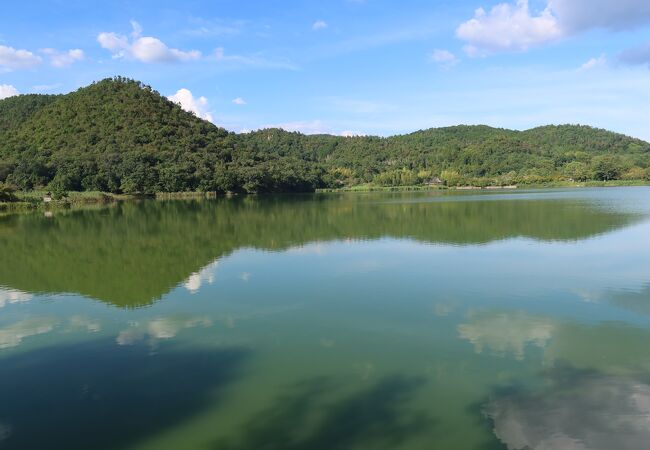 水面に映り込む遍照寺山の姿と夏空が美しい池