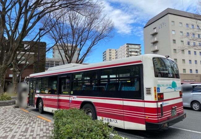 路線バス (小田急バス)