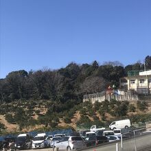 駐車場は結構広いのですが、大混雑でした