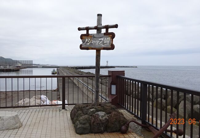 「定期観光バス、稚内Aコース」に参加して、ノシャップ岬に行きました。