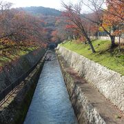 大津側も地味だが見どころがある