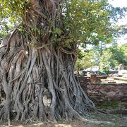 アユタヤ観光でもっとも有名な寺院