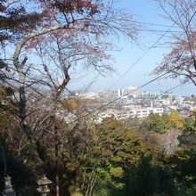 展望台から眺めた琵琶湖と大津の町