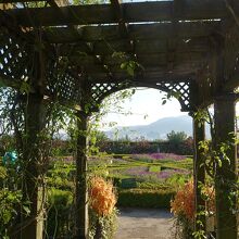 イングリッシュガーデン