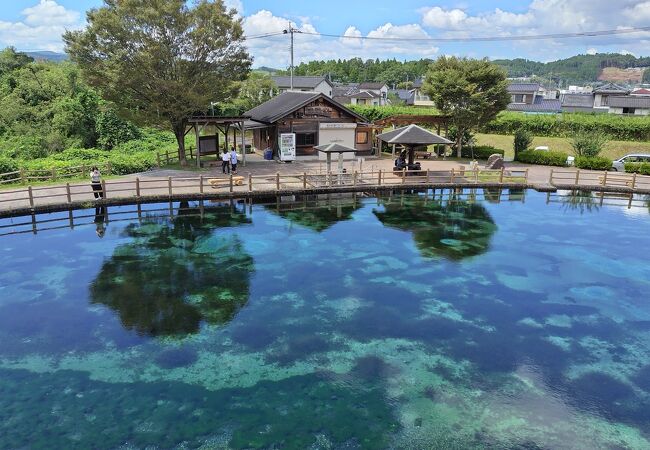 霧島山麓丸池湧水 クチコミ・アクセス・営業時間｜霧島温泉郷