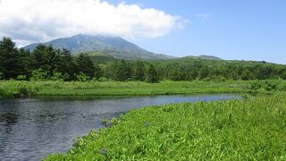 南浜湿原