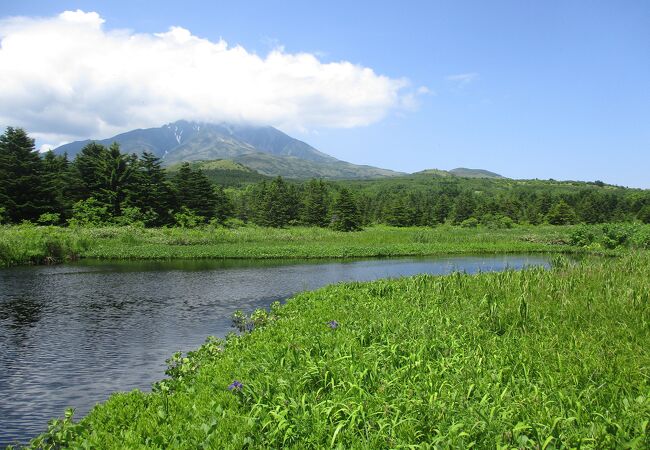 南浜湿原