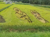 秋田内陸線沿線田んぼアート