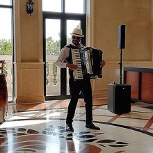 アコーディオン奏者