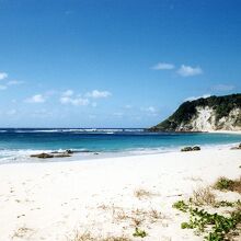 ネッズ・ビーチ