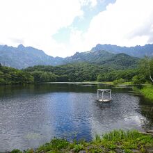 見晴らしもよく、とても気持ちいい池です。