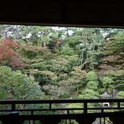 美しい日本庭園を鑑賞できる市内有数の観光名所