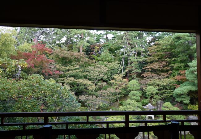 美しい日本庭園を鑑賞できる市内有数の観光名所