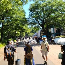 木陰が多く、猛暑日でも一息入れられます
