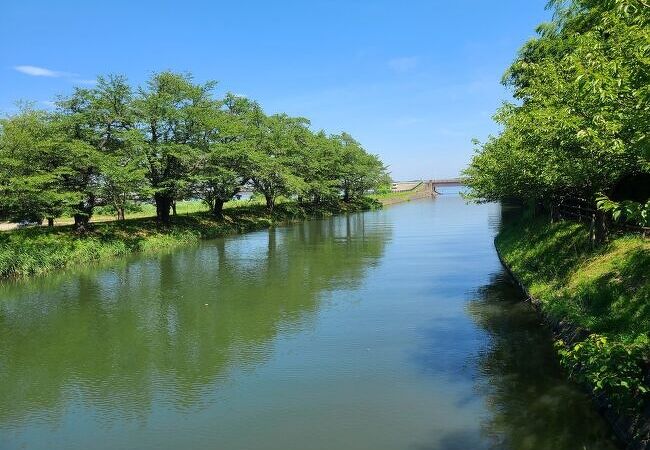 桜シーズンでなくても悪くない