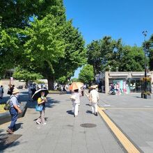 上野駅公園改札をでると直ぐです