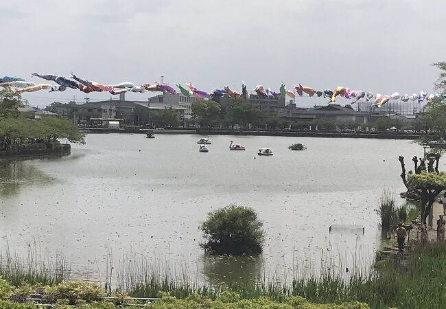 藤の名所ですが四季の花を愛で、家族でノンビリ出来る公園でした。