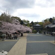 御瀧山金蔵寺