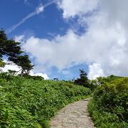 夏も素晴らしい景色でした