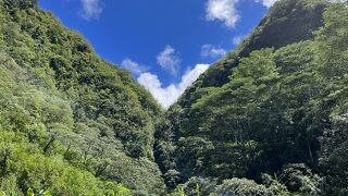 ハワイの大自然を身近に感じられるスポット