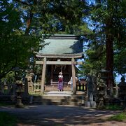 天橋立のほぼ中央に建つ神社