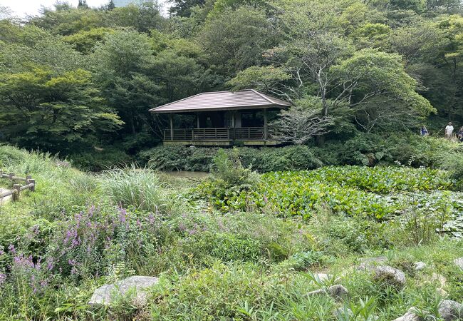 六甲高山植物園