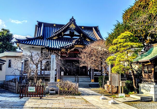 妙隆寺 クチコミ・アクセス・営業時間｜鎌倉【フォートラベル】