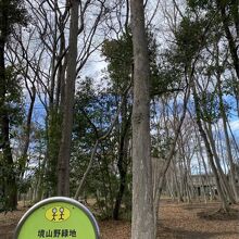 境山野緑地 (独歩の森)