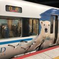 かわいい車内とラッピング