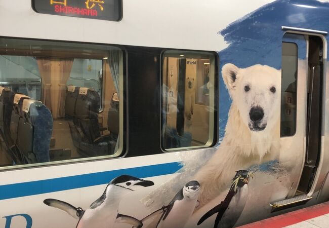 かわいい車内とラッピング