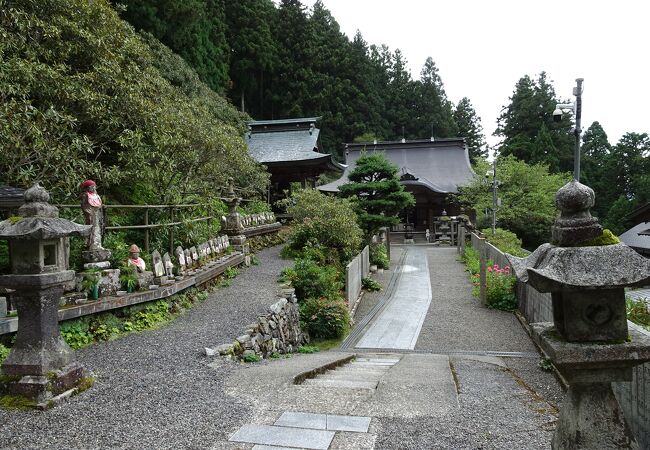 ８月でも紫陽花が咲くお寺