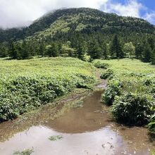 四阿山