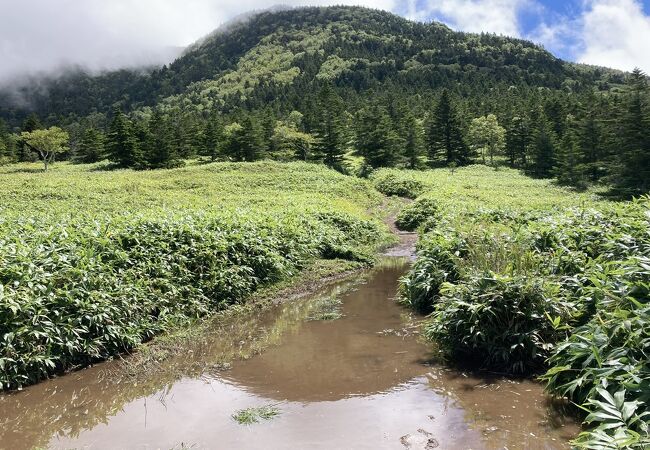 四阿山