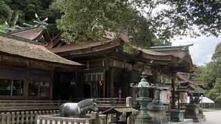 讃岐平野を一望