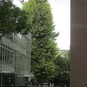 世田谷散策(12)で国士舘大学世田谷キャンパスに行きました