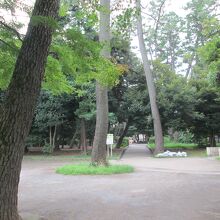 若林公園