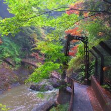 吊橋