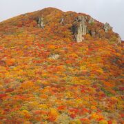 燃える山肌、素晴らしい紅葉