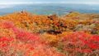 見事な紅葉の山