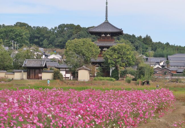 法起寺