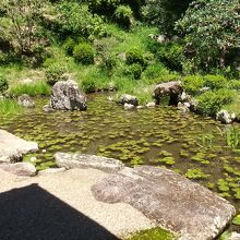 根來寺庭園