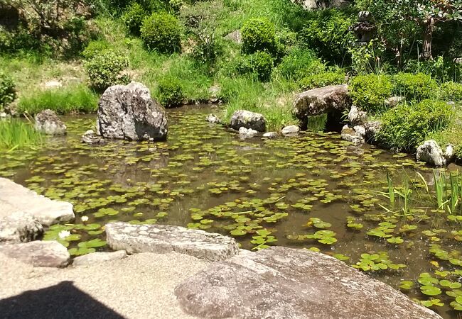 根來寺庭園