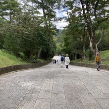 鳥居の直ぐ前の本宮への坂道です