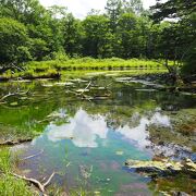 湯元から戦場ヶ原へのハイキングコースの途中　澄んだ水をたたえた美しい池