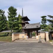 飛鳥時代の仏像が見られます