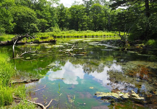 湯元から戦場ヶ原へのハイキングコースの途中　澄んだ水をたたえた美しい池