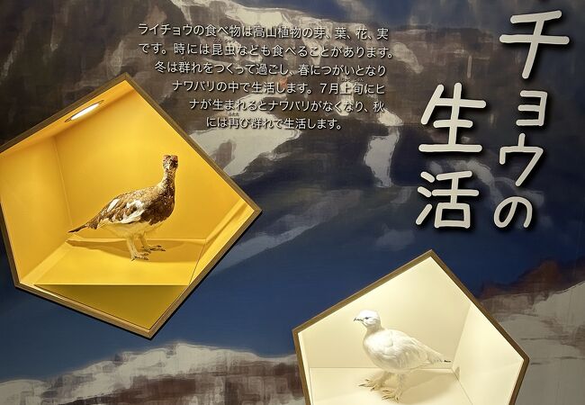 大町山岳博物館 クチコミ・アクセス・営業時間|大町【フォー 大町山岳博物館 クチコミ・アクセス・営業時間|大町【フォー
