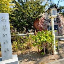 新琴似神社